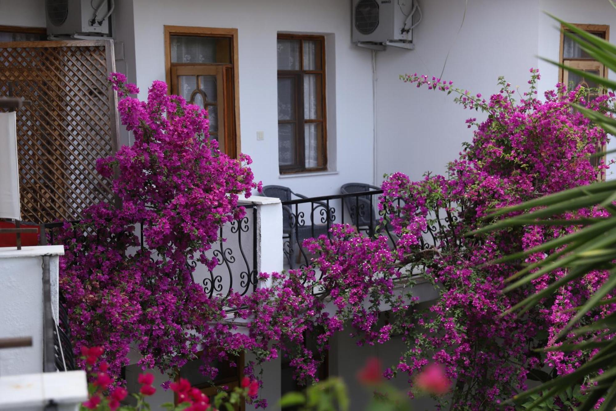 Yeni Doga Hotel Dalyan Exterior foto